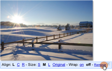 remove image
