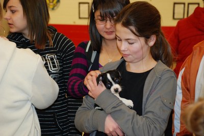 Roosevelt Middle School Dog Rescue Event
