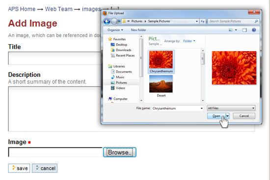 browse button dialog box image open