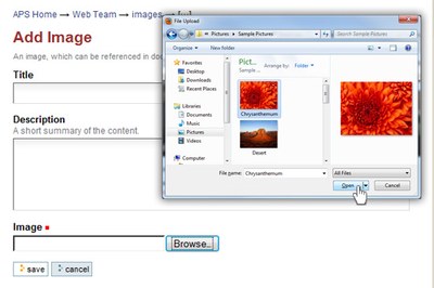 browse button dialog box image open