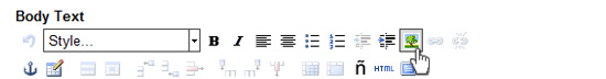 The Text Editor tool bar